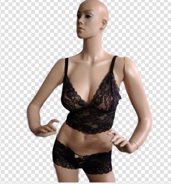 Damen Bustier Top aus Spitze schwarz BH Sexy Unterwäsche